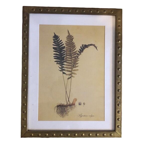 Rare IKEA Botanical Prints set of 4 Brass Frame - Picture 3 of 9